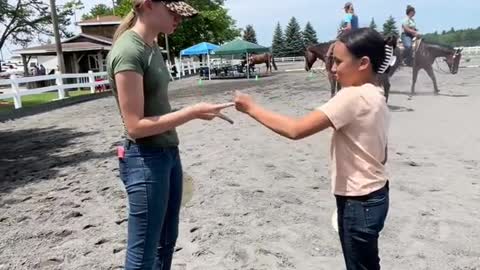 Tortilla slaps gone wrong… horse show edition 🤣🙀