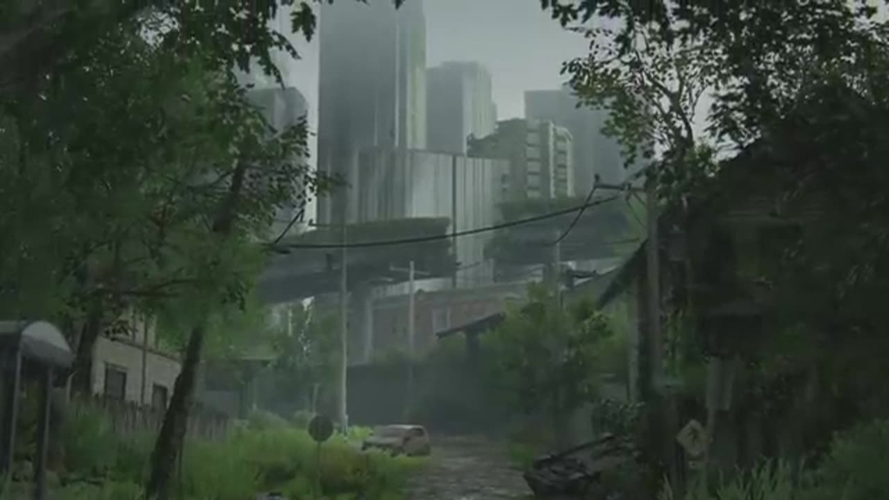 the last of us
