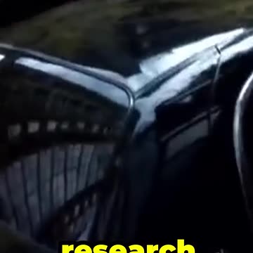 Candace Owens' Reaction to Questions on Trump at TP-USA Tour