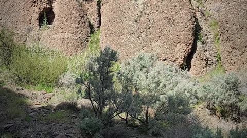 Snivley Hot Spring - Idaho Adventure Company