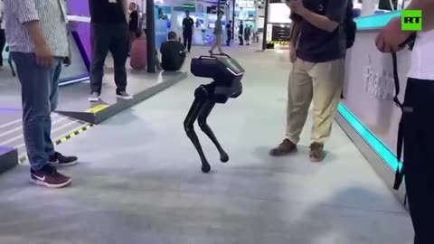 Two-legged robot stays upright despite people trying to kick him over