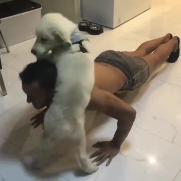 Hey it seems to be someone need attention