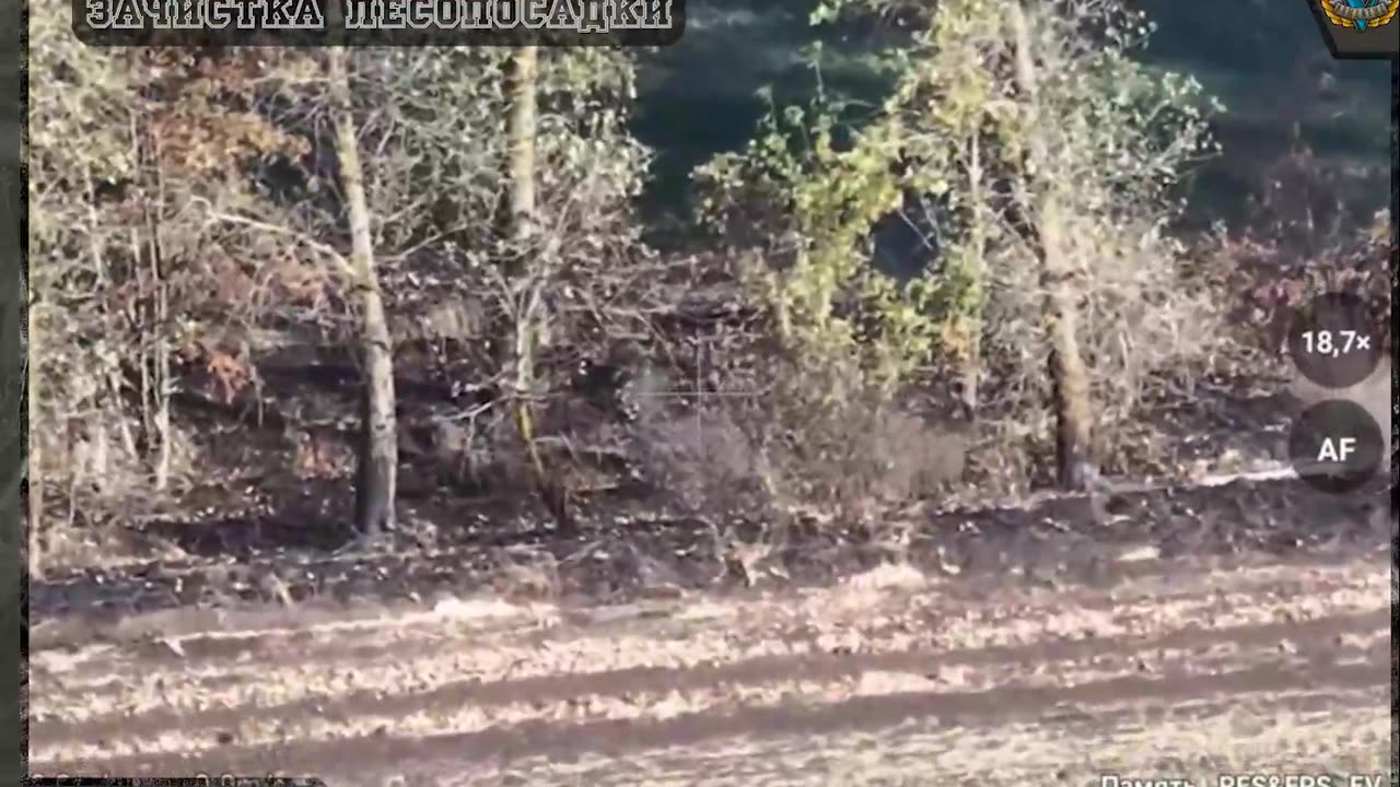 Paratroopers storm the AFU-occupied Kalinnik tract near Lyubimovka, Kursk region