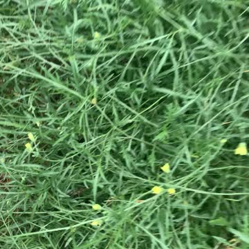 Healthy eating is good for you