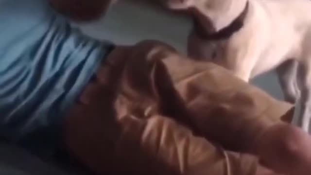 Try not to laugh