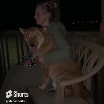 He went from wolf to sitting in a gazebo talking about …