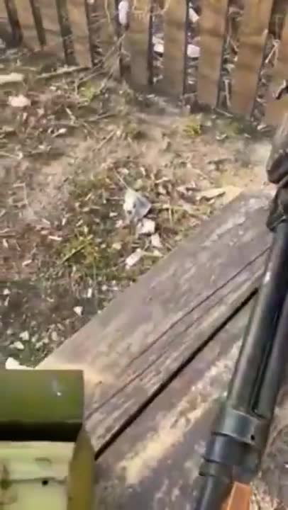 American and Ukrainian military Soldiers in Ukraine