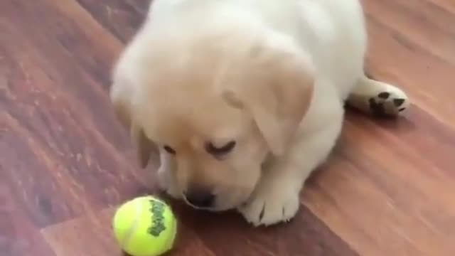 come play with me