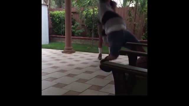 Collab copyright protection - hoverboard splits