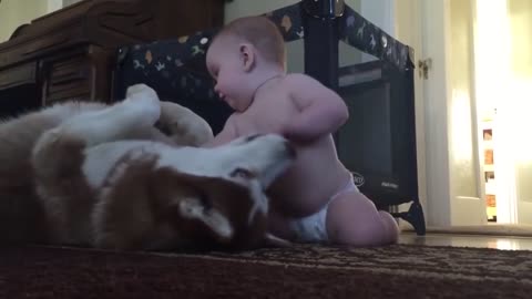 Собаки и дети, лучшие друзья. Dogs and Baby, the best video.