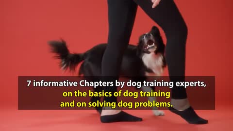 Dog Trening Tips video