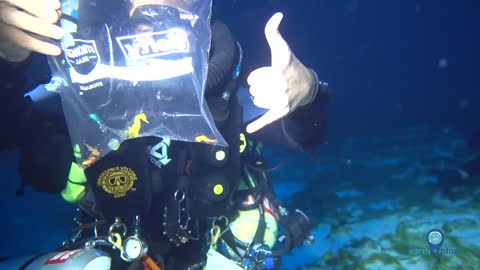 Your Earth is Blue: Exploring Papahānaumokuākea's Deep Coral Reefs