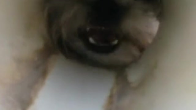 Look how scary