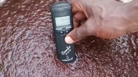 Using coco peat as growing medium