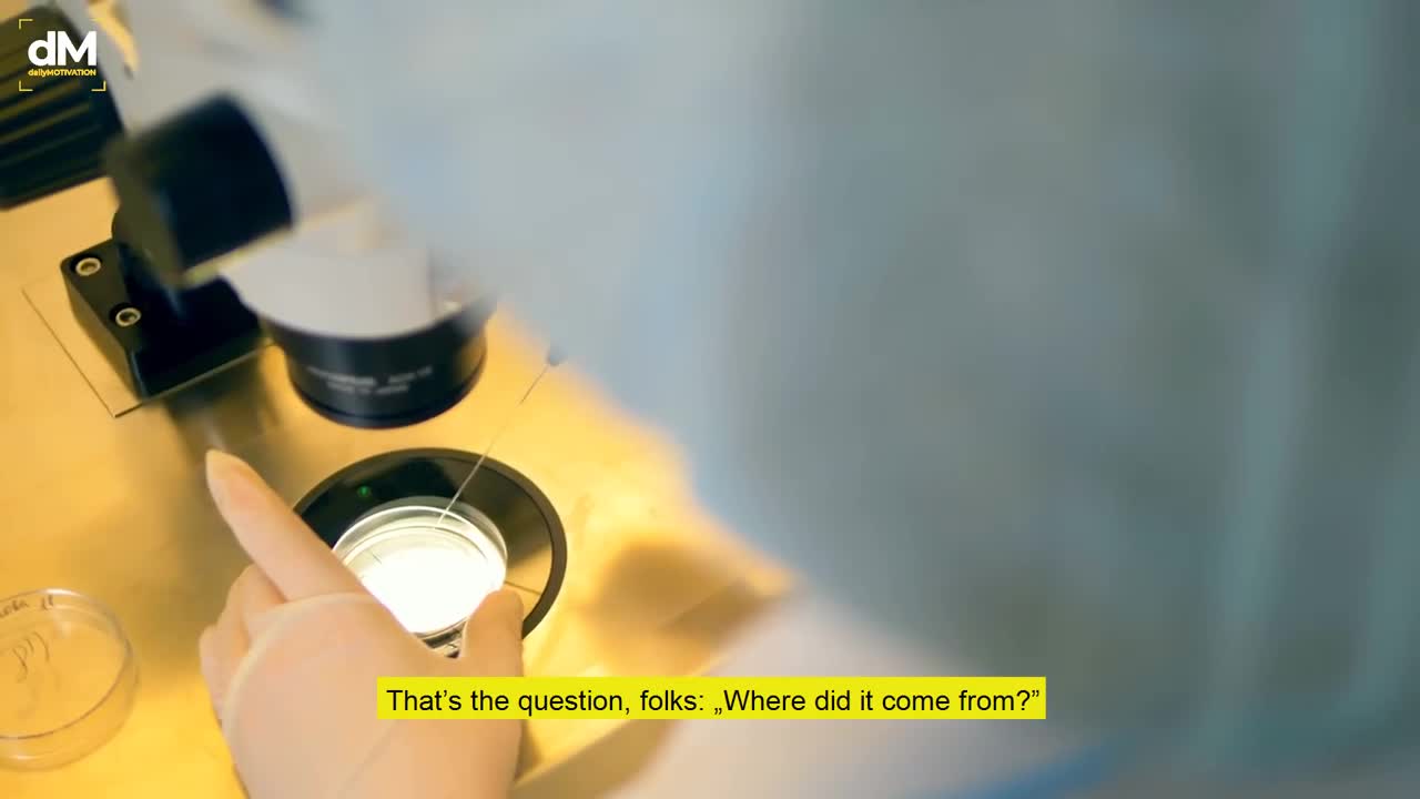 Everything you have been told is a lie!