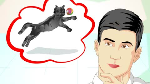 Train your cat even if they're old or stubborn!