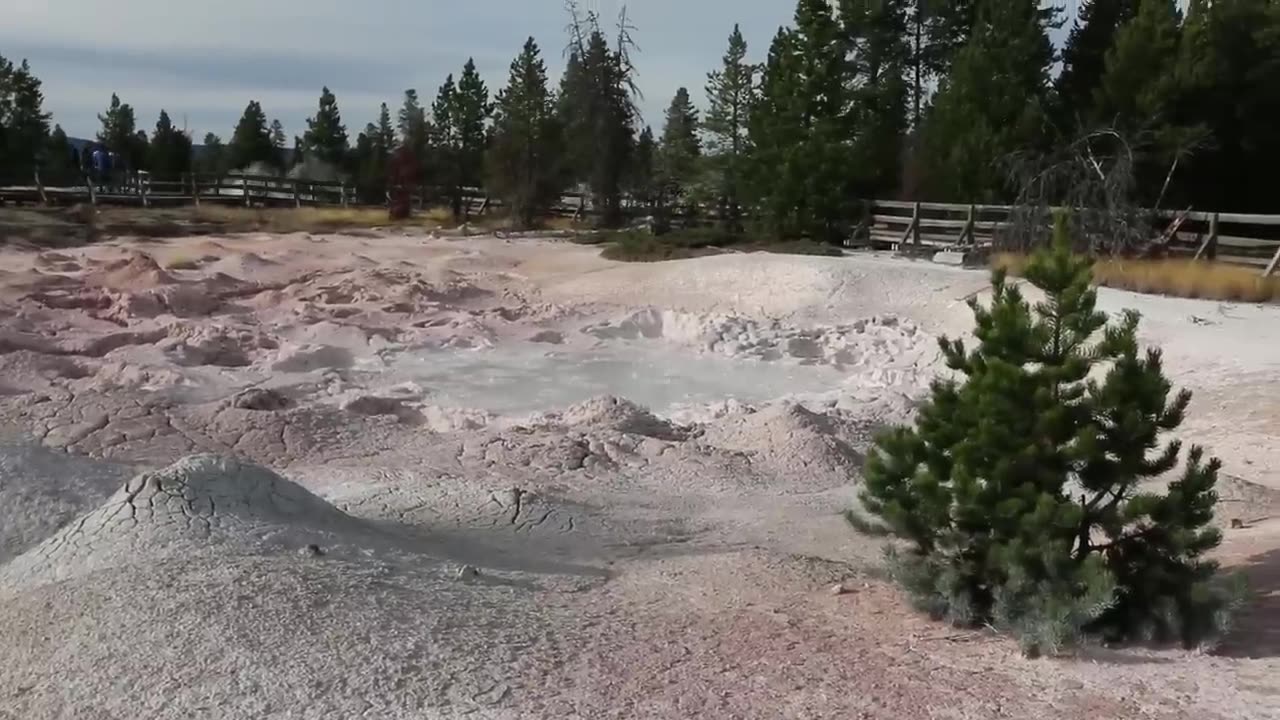 Yellowstone National Park