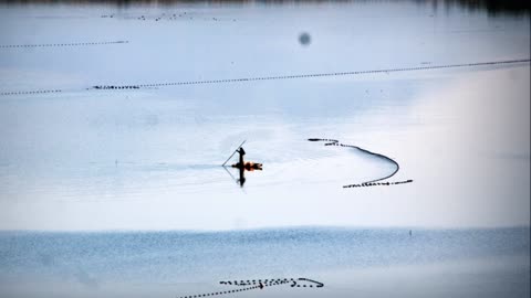 Ramsar, Upo wetlands in Korea