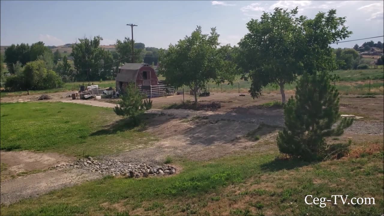 Graham Family Farm: Sunny Rain