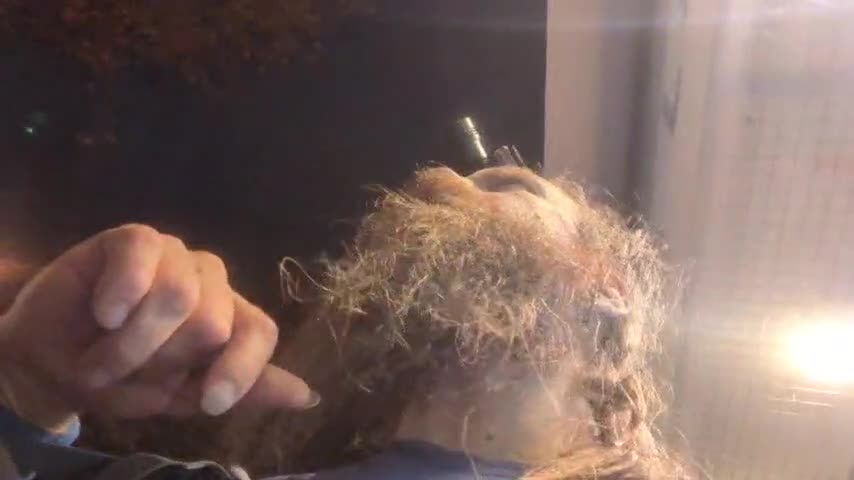 2022-10-20 (11) - Un clochard à L'Olympia ??? (lag colossal) - Twitch Decheterie