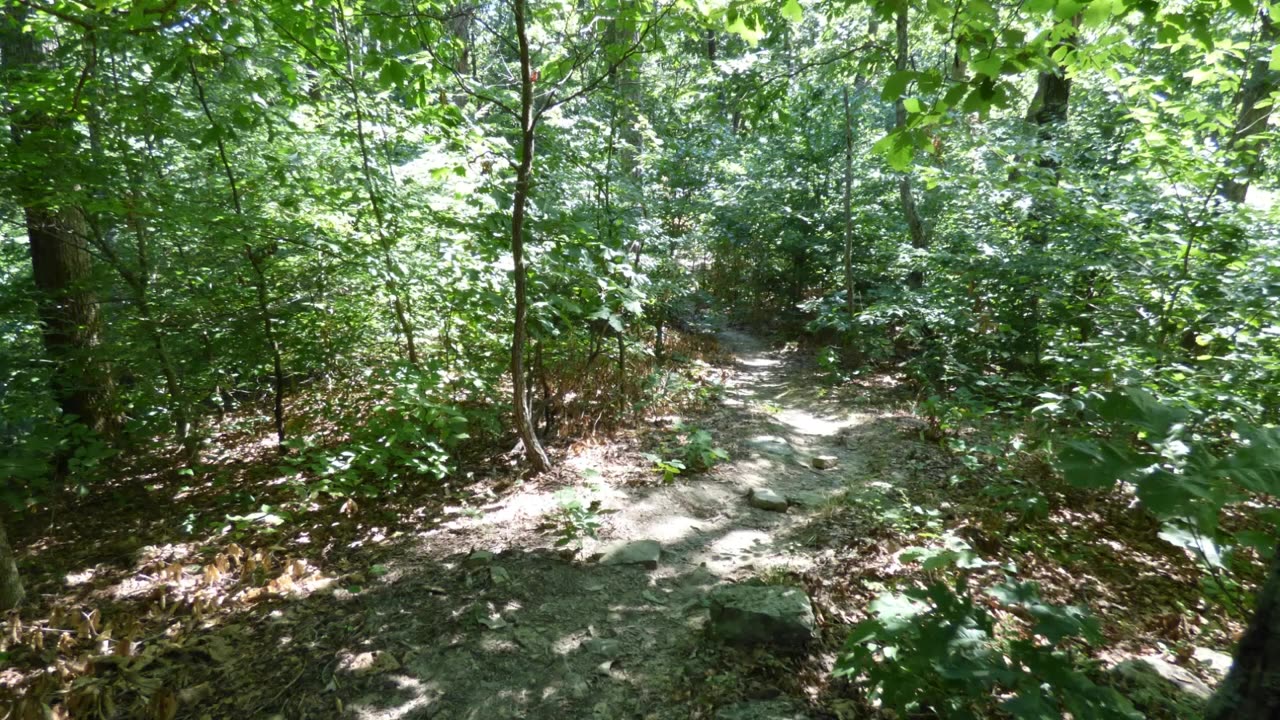 Walking on a trail at Bernheim Arboretum & Research Forest, Clermont, Kentucky. Slideshow.