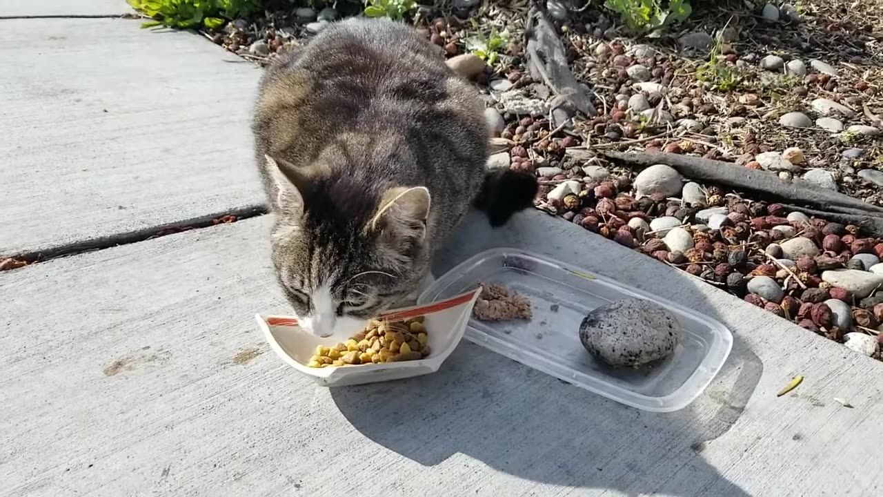 20240504 172228 Buddha Crunching