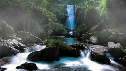 Sounds of a stream in the forest. Forest sounds of water.