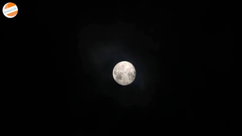 Moon Closely Viewed