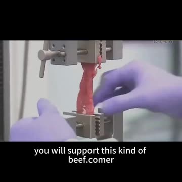 Synthetic Meat Made Possible (Ironically)