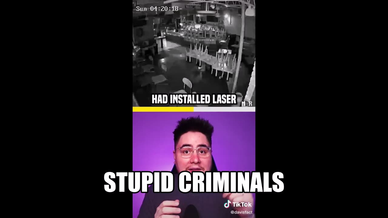 Stupid Criminals