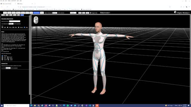 MakeAvatar(TM) Basic Usage