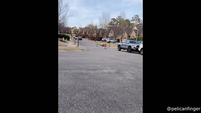 Giant Cloud Rolls Through Neighborhood