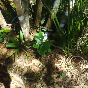 14.8.2024 Our New Tennant