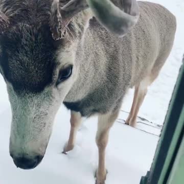 funny|prank|jokes|funny jokes|dad jokes|funny memes|funny video|fun|laughing|funny animal|knock