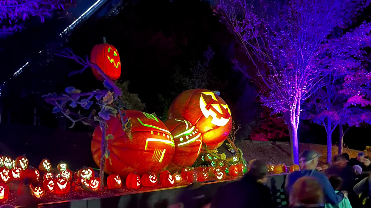 Happy Fall, Ya'll + Great Pumpkin LumiNights Walk-through (2023) #dollywood #pigeonforge