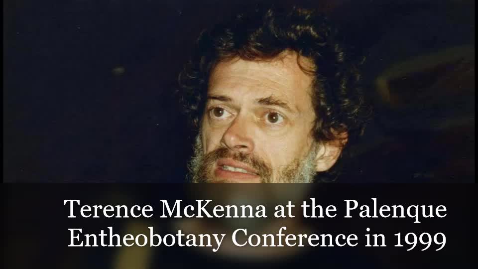 Terence McKenna at the Palenque Entheobotany Conference in 1999