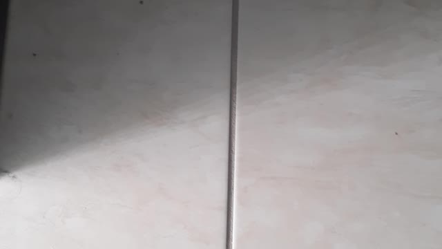 Lines On A Square