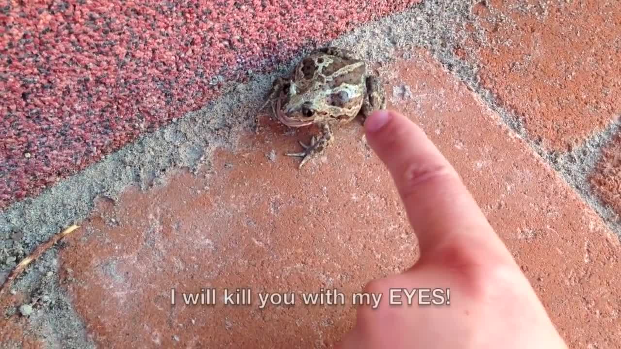 This angry frog almost killed me... I was soooo scared