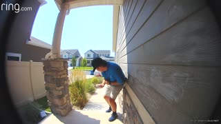 Protective Birds Guarding Nest Swoop at Door Salesman