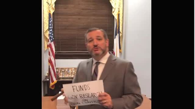 Ted Cruz on Spending Bill