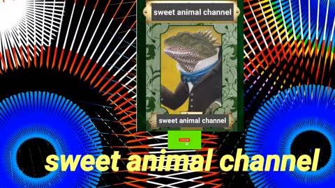 Sweet animal channel #animal channel