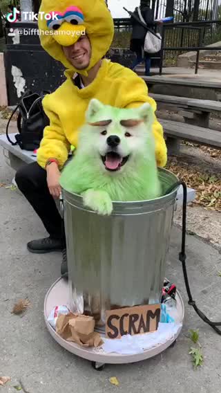 Oscar fashion the grouch dog