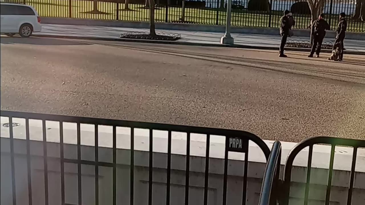 White house