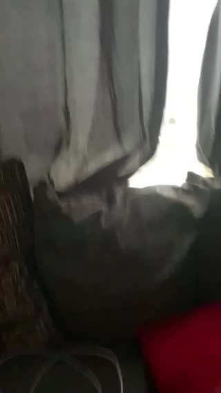 What a time to be alive