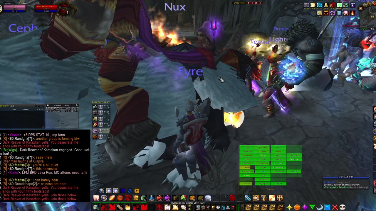 Turtle wow - PUG Dark Reaver - world boss - Paladin POV - 12 October