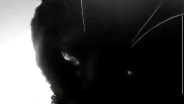 Menacing Cat Is Gotham's Reckoning