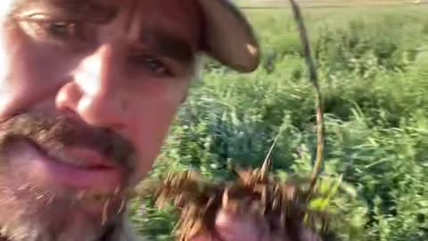 Healthier Soil for Healthier Grass for Healthier Cattle for Healthier Meat for a Healthier YOU..