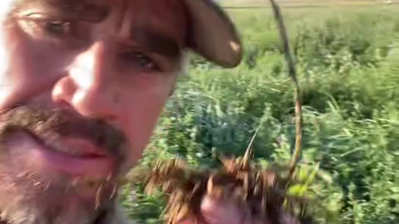 Healthier Soil for Healthier Grass for Healthier Cattle for Healthier Meat for a Healthier YOU..
