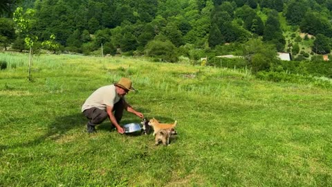 Hermit Family Harvesting Fresh Walnuts in Mountain Village