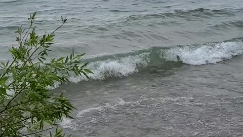 Point Betsy Shore